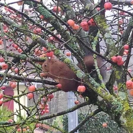 La Loge Bertine France * Saint-Mars-la-Reorthe