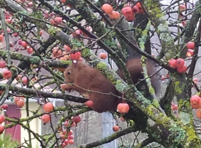 La Loge Bertine France * Saint-Mars-la-Reorthe